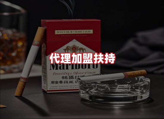 专业团队